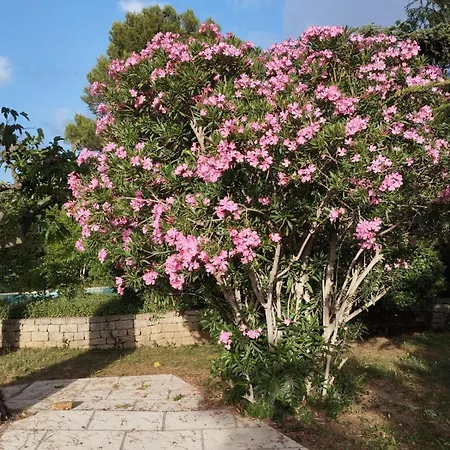 Frühstückspension Les Cedres Les Angles (Gard)